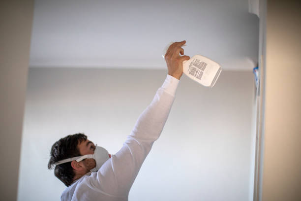 Best Toxic Mold Removal  in Wd, AR