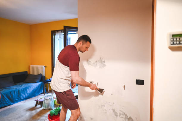 Best Toxic Mold Removal  in Wd, AR